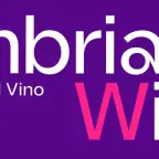Locandina di Umbria Wine
